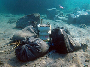 波浪・流況調査